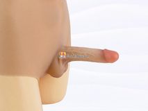 Quần Dương Vật Giả Size Nhỏ Đặc Ruột Siêu Mềm Có Múi Gwenshop Chính Hãng Hàng Chuẩn