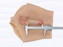 Quần Dương Vật Giả Size Nhỏ Đặc Ruột Siêu Mềm Có Múi Gwenshop Chính Hãng Bản Mới