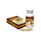 Đông Trùng Hạ Thảo HB CORDY EXTRACT - Giúp Làm Chậm Quá Trình Lão Hóa, Tăng Cường Sức Khỏe Snapshop Chính Hãng Hàng Nhập Khẩu