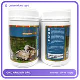 Vitatree Oyster Extract - Cung Cấp Dưỡng Chất Kích Thích Hormone & Cải Thiện Sinh Lý Nam Snapshop Chính Hãng