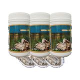 Vitatree Oyster Extract - Cung Cấp Dưỡng Chất Kích Thích Hormone & Cải Thiện Sinh Lý Nam Snapshop Chính Hãng
