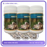 Vitatree Oyster Extract - Cung Cấp Dưỡng Chất Kích Thích Hormone & Cải Thiện Sinh Lý Nam Snapshop Chính Hãng Hàng Nhập Khẩu