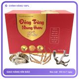 Đông Trùng Nhung Hươu Plus - Giúp Bổ Thận & Tráng Dương Snapshop Chính Hãng Hàng Nhập Khẩu