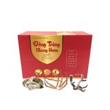 Đông Trùng Nhung Hươu Plus - Giúp Bổ Thận & Tráng Dương Snapshop Chính Hãng Mẫu Mới