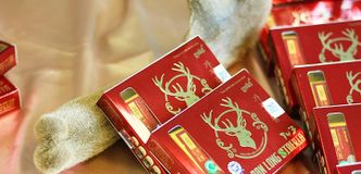 [Tặng Voucher 50K]  Cao Ban Long Siberia hỗ trợ tăng cường sinh lực, phục hồi sức khỏe