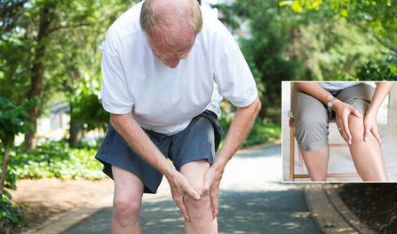 Thoái hóa khớp: Nguyên nhân, biểu hiện, phương pháp điều trị hiệu quả