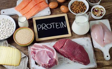 20+ Thực Phẩm Giàu Protein Tốt Cho Sức Khỏe