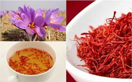 Nhụy Hoa Nghệ Tây - Saffron: Công Dụng Và Cách Dùng Hiệu Quả Nhất