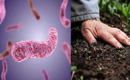 Vi khuẩn ăn thịt người là gì? Nhận biết triệu chứng và phòng ngừa?