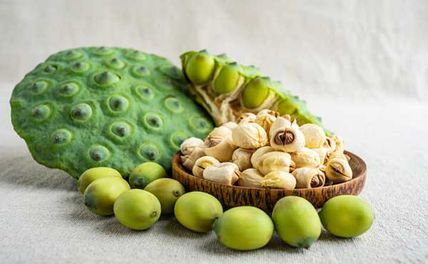 17 Công Dụng Của Hạt Sen Với Sức Khỏe Và Làm Đẹp