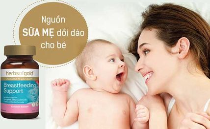 TOP 10 Sản Phẩm Lợi Sữa Tốt Nhất Cho Mẹ Sau Sinh