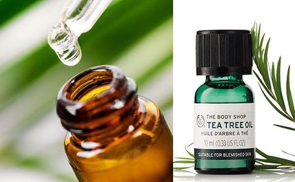 Cách sử dụng tea tree oil trị thâm mụn hiệu quả? Top 5 sản phẩm chứa tea tree oil tốt nhất