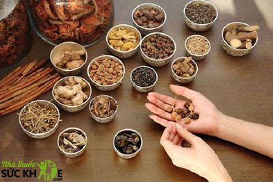 TOP 10+ thảo dược tăng cường sinh lý nam an toàn, hiệu quả
