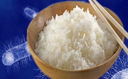 Ăn cơm nguội có hại không và những điều bạn cần biết