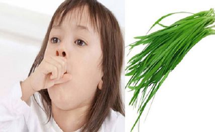 Top 5 cách trị ho có đờm dứt điểm nhanh chóng