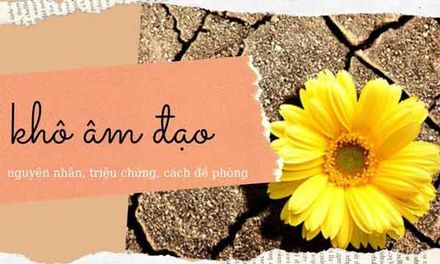 Khô âm đạo có nguy hiểm không? Nguyên nhân và cách điều trị nhanh nhất