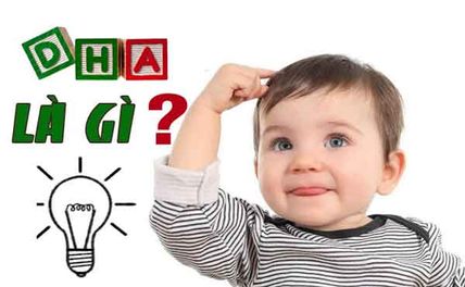 Nên dùng DHA Úc hay của Mỹ? Top những sản phẩm bổ sung DHA tốt nhất hiện nay?