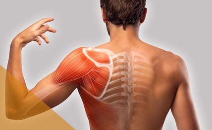 Viêm quanh khớp vai là gì? Đối tượng nào dễ gặp phải? Nguyên nhân và triệu chứng?