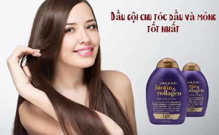 Top 10 Dầu Gội Cho Tóc Dầu Và Mỏng Được Yêu Thích Nhất
