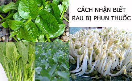 Cách nhận biết rau bị phun thuốc “ngậm hóa chất” cần né xa