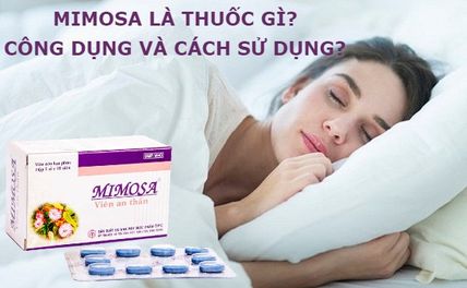 Mimosa là thuốc gì? Công dụng, cách dùng và giá bán?