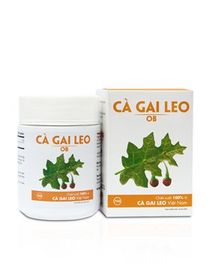 Cà gai leo OB bảo vệ gan, tăng cường chức năng gan