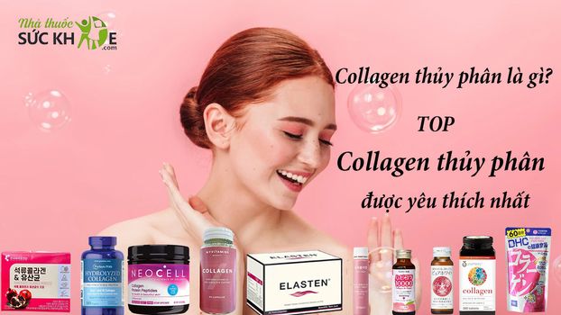 Collagen thủy phân là gì? TOP 10 Collagen thủy phân tốt nhất
