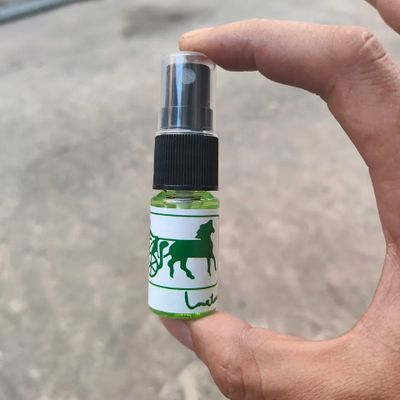 Xịt Delay Long Time Thái Lan 10ml – Chai Xịt Nhỏ Gọn, Cảm Giác Mát Lạnh Ngập Tràn