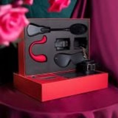 Set quà tặng đồ chơi bạo dâm BDSM cao cấp SVAKOM LIMITED EDITION
