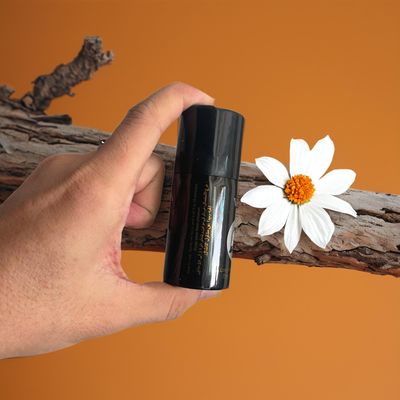 Xịt khử mùi nam giới Viga Đức 45cc chính hãng