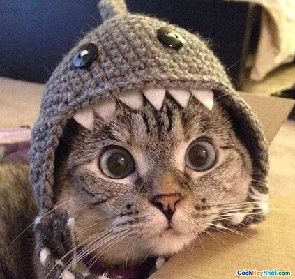 Nước Tẩy Trang La Roche-Posay Dành Cho Da Nhạy Cảm 215439