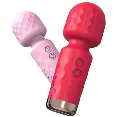 Chày Rung Mini Nhỏ Gọn Massage Rung Mãnh Mẽ Êm Ái Mang Thăng Hoa Cao Trào Cho Chị Em Quiet - Size Mini Cao Cấp 374020
