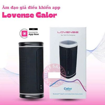 Âm Đạo Giả Rung Tăng Khoái Cảm Lovense Calor Điều Khiển App Chính Hãng