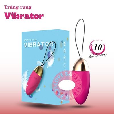 Trứng Rung Giá Rẻ Vibrator Đa Chế Độ Rung Mạnh Cao Cấp
