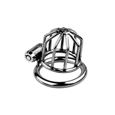 Khóa dương vật inox không gỉ 1 ổ khóa và 2 chìa dài 61mm