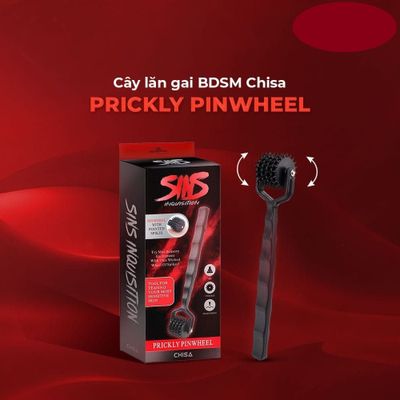 Cọ lăn gai BDSM Chisa Sins Inquisition Prickly Pinwheel 382368