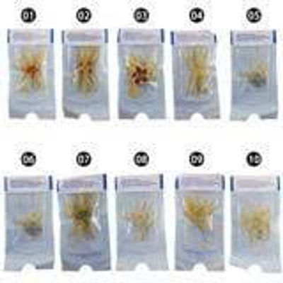 Vòng Đeo Silicone Râu Rồng Hỗ Trợ Bền Bỉ Kích Thích Cho Phái Nam Nhiều Kiểu Để Chọn Chính Hãng 