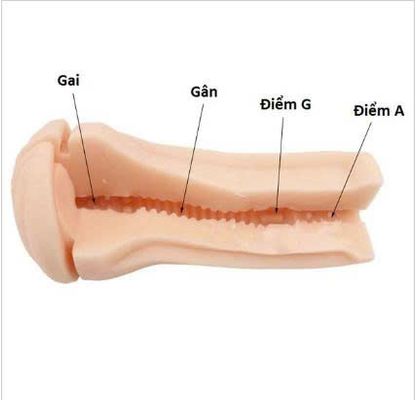 Âm đạo giả - các loại âm đạo giả bao phê có thể bạn chưa biết