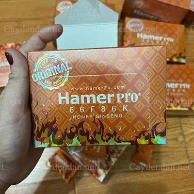 Kẹo sâm mật ong HAMER PRO 66F86K (Mẫu mới) hộp 33 viên