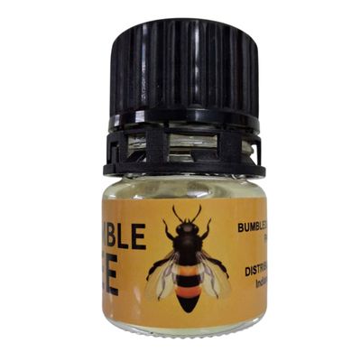 Popper Bumble Bee Con Ong – Cực Mạnh, Cực Sướng 20ml