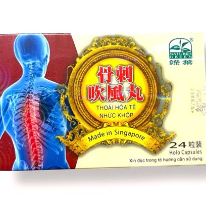 Viên uống Thoái hóa tê nhức khớp - Loại siêu xịn - 1 hộp gồm 24 viên - Xuất xứ Singapore - Mã 1121 - Loại siêu xịn