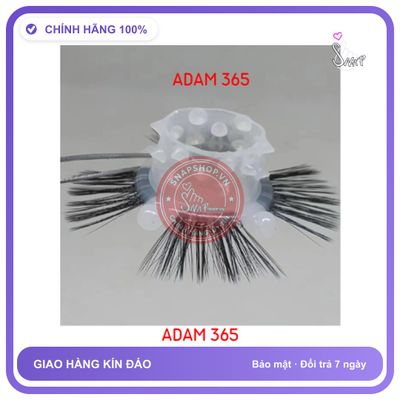 (Che Tên) Vòng đeo râu rồng silicon co bi và gai dùng để trang trí cậu em - Hàng Mới Về