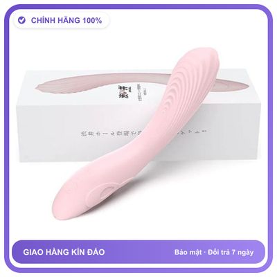 Dương vật giả rung sạc USB DryWell Lolita V-30