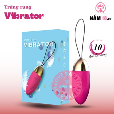 Trứng Rung Vibrator chính hãng - chất liệu an toàn cho da, dễ vệ sinh, êm ái khi dùng - giao hàng che tên kín đáo