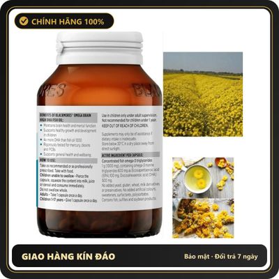 (Che Tên) Blackmores Omega Brain. 1Kg Trà Hoa Cúc Vàng Sấy Khô (Hoàng Cúc) Nguyên Bông Tự Nhiên. Chuẩn Auth
