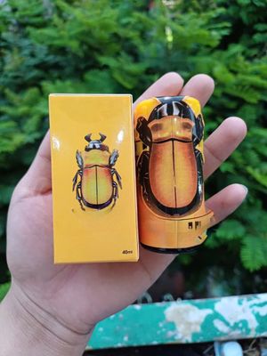 Bản Nhập Khẩu Cao Cấp - Tinh dầu pp con bọ 40ml USA LGBT Bọ vàng, giao hàng kín đáo