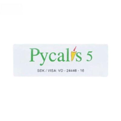 Viên uống Pycalis 5 mg - Điều trị rối loạn sinh lý nam hiệu quả cho nam giới trưởng thành - bản tiêu chuẩn