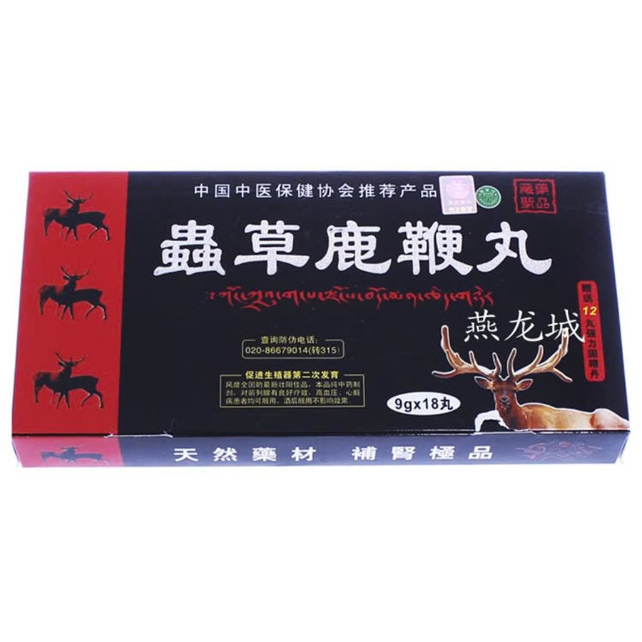 Thảo Dược Tăng Sinh Lý Cao Đông Trùng Thảo Tây Tạng (TD21)