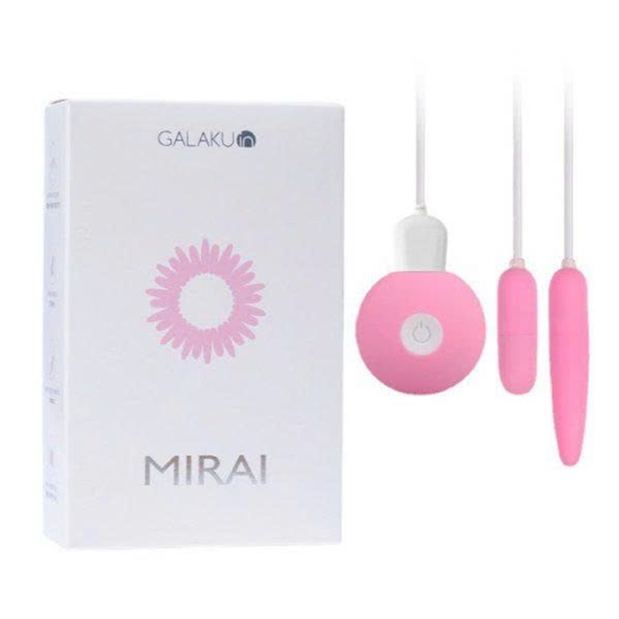 TRỨNG RUNG GALAKU MINI 2 TRỨNG