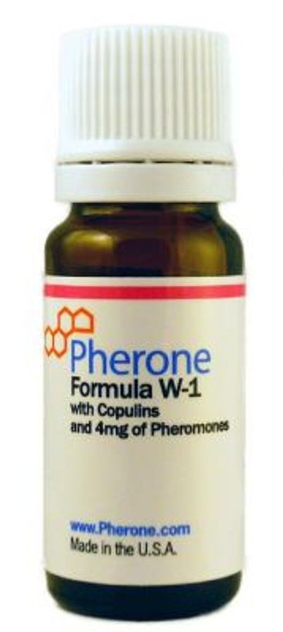 Nước Hoa Tăng Khoái Cảm Nữ Formula W1 (MS034)